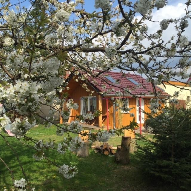 Ferienwohnung Niesky Habitación foto